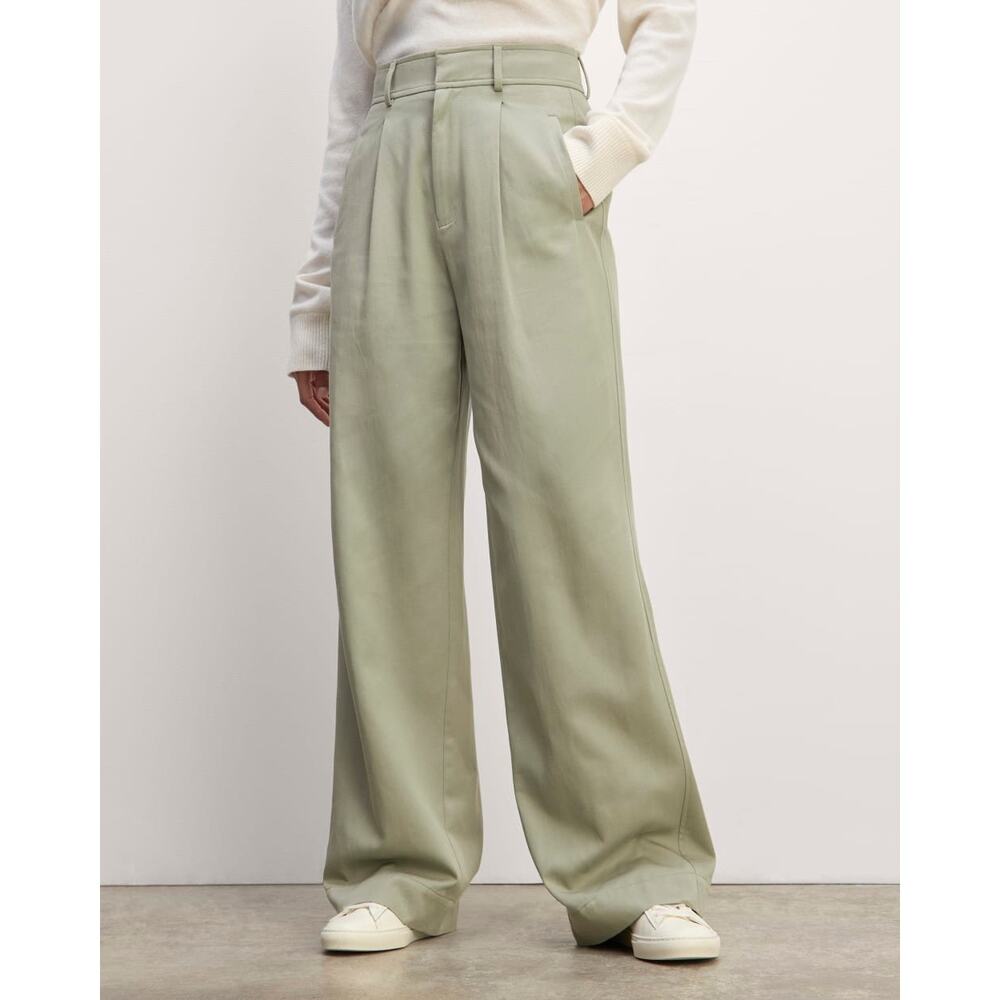 Everlane Way High Drape Pant Seagrass Wide Leg Pleated Trouser 10